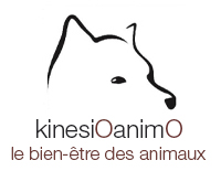 KinesiOanimO